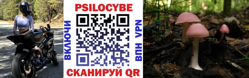 Галлюциногенные грибы ЛСД Вичуга